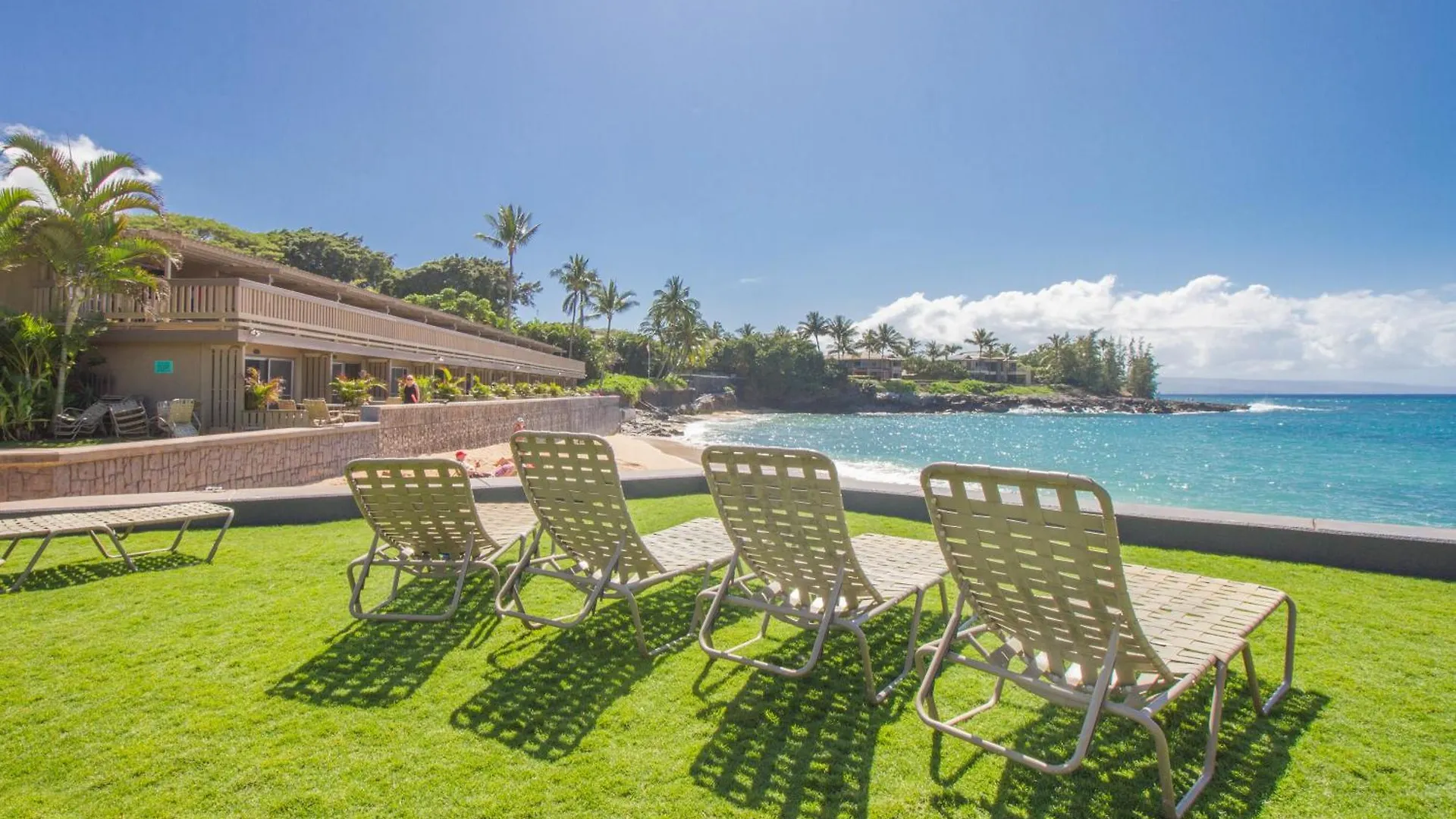 We Regret The Trips We Don'T Take! Ks E6-Sullivan Kahana United States